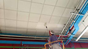 Pinturas Filiu pintura decotarativa 3